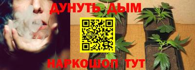 спиды Малгобек
